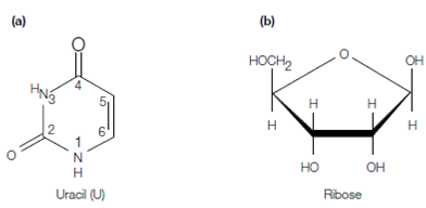 215_Covalent structure.png